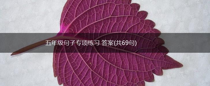 五年级句子专项练习 答案(共69句),第1张