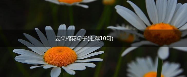 云朵棉花句子(推荐10句),第1张