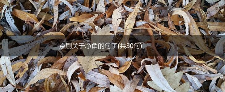 京剧关于净角的句子(共30句),第1张