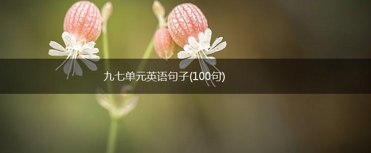九七单元英语句子(100句),第1张
