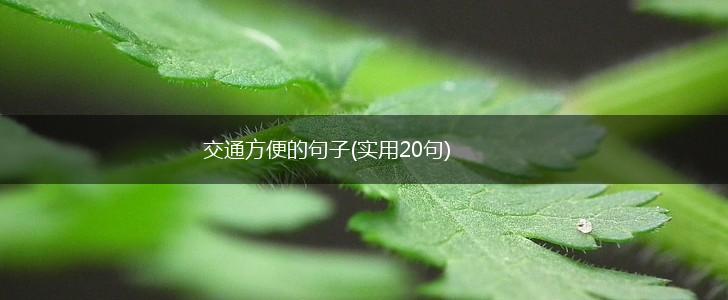 交通方便的句子(实用20句),第1张