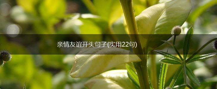 亲情友谊开头句子(实用22句),第1张