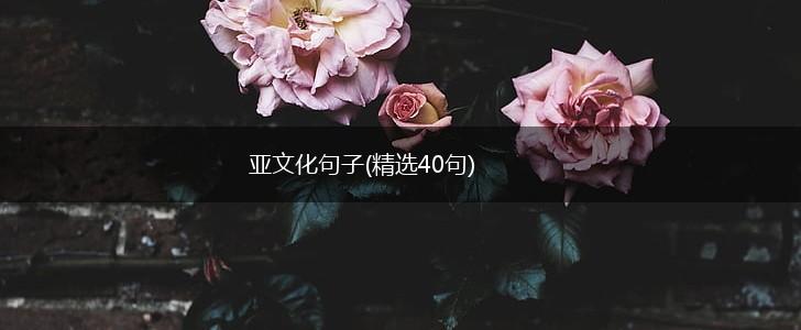 亚文化句子(精选40句),第1张