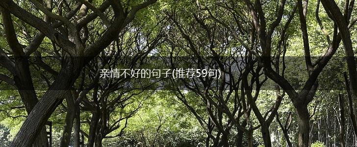 亲情不好的句子(推荐59句),第1张