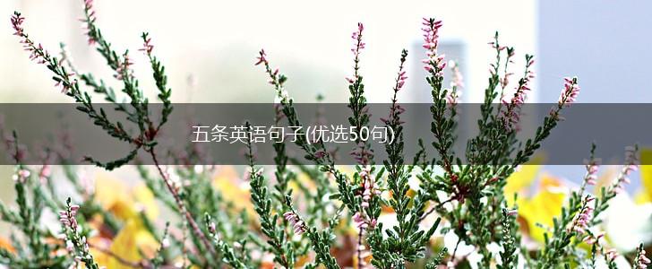五条英语句子(优选50句),第1张