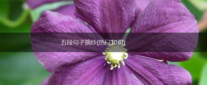 五段句子摘抄(热门10句),第1张