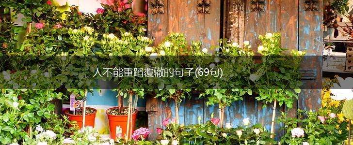 人不能重蹈覆辙的句子(69句),第1张