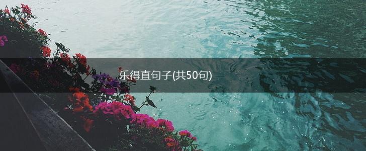 乐得直句子(共50句),第1张