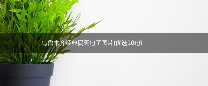 乌鲁木齐经典搞笑句子图片(优选10句),第1张