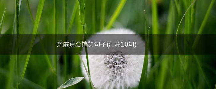 亲戚真会搞笑句子(汇总10句),第1张