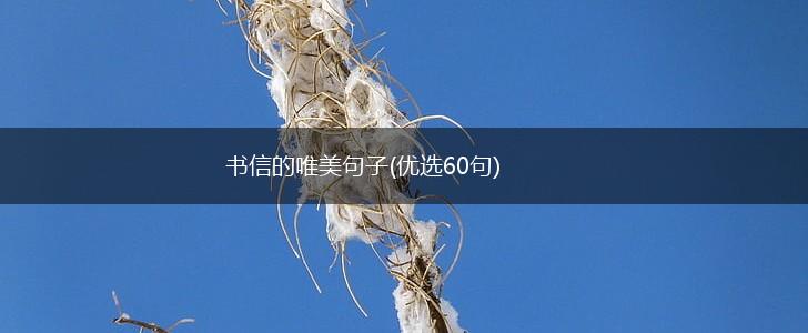 书信的唯美句子(优选60句),第1张