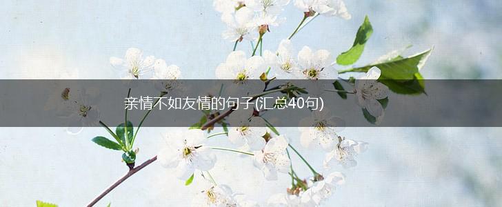 亲情不如友情的句子(汇总40句),第1张