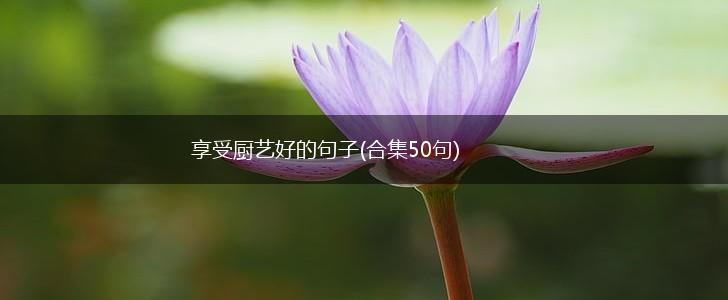 享受厨艺好的句子(合集50句),第1张