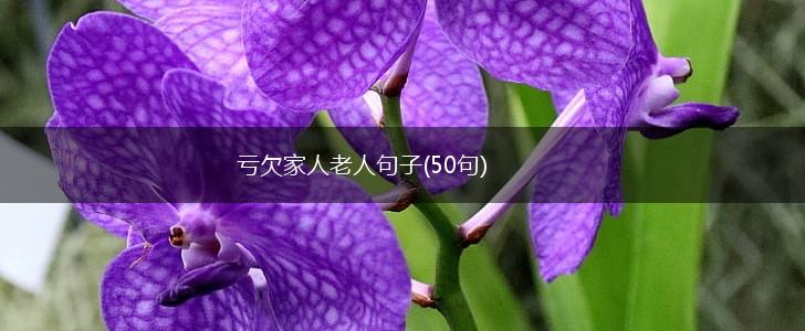 亏欠家人老人句子(50句),第1张
