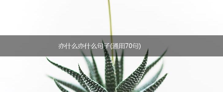 亦什么亦什么句子(通用70句),第1张