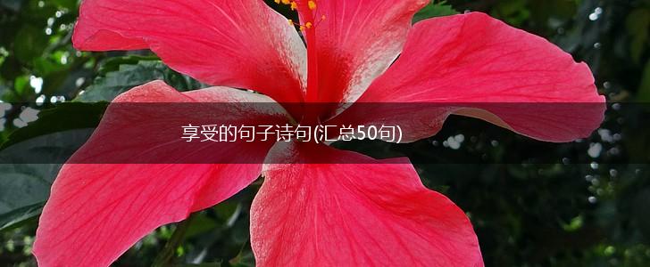 享受的句子诗句(汇总50句),第1张