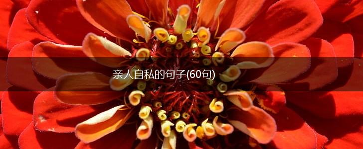 亲人自私的句子(60句),第1张