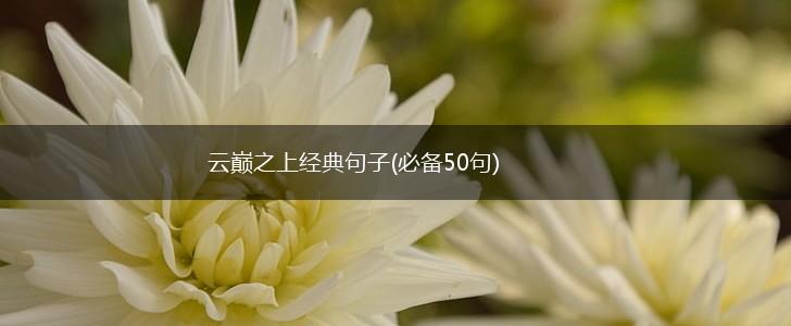 云巅之上经典句子(必备50句),第1张