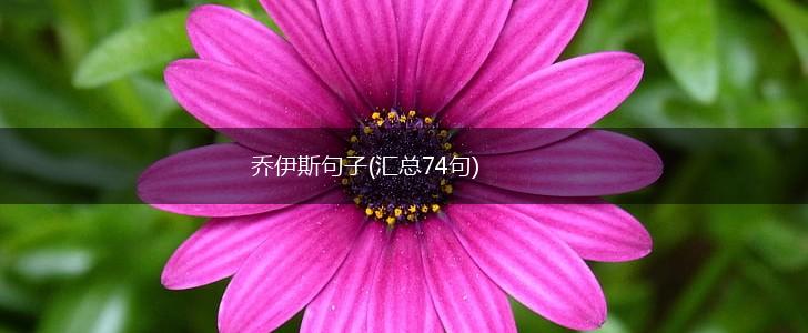 乔伊斯句子(汇总74句),第1张