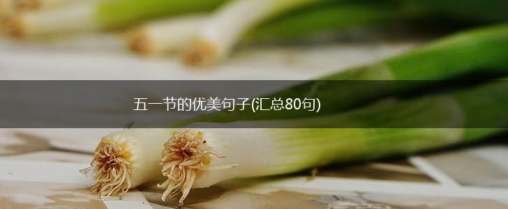 五一节的优美句子(汇总80句),第1张