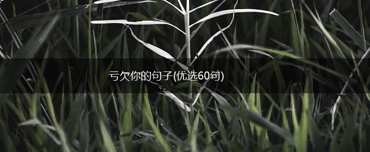 亏欠你的句子(优选60句),第1张