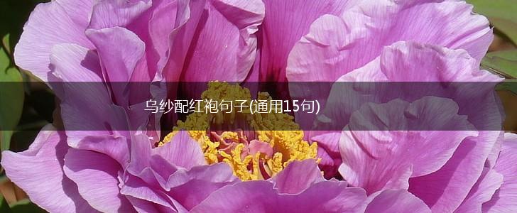 乌纱配红袍句子(通用15句),第1张