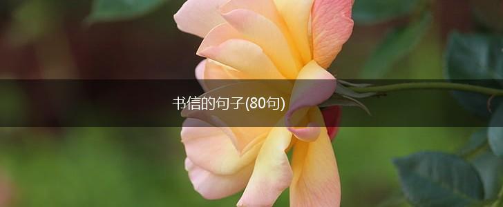 书信的句子(80句),第1张