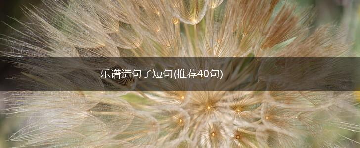 乐谱造句子短句(推荐40句),第1张