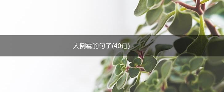 人倒霉的句子(40句),第1张 人倒霉的句子(40句),第1张