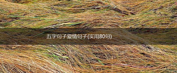 五字句子爱情句子(实用80句),第1张