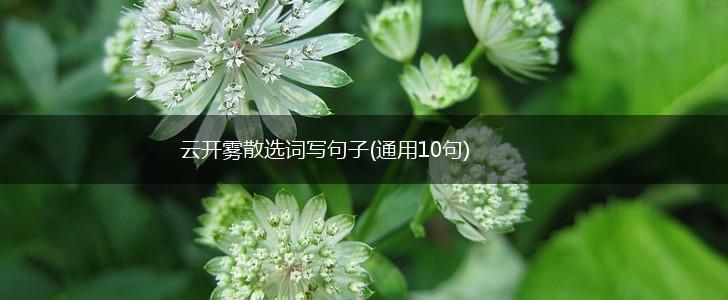 云开雾散选词写句子(通用10句),第1张