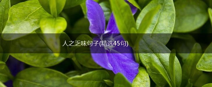 人之乏味句子(精选45句),第1张