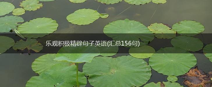 乐观积极精辟句子英语(汇总156句),第1张