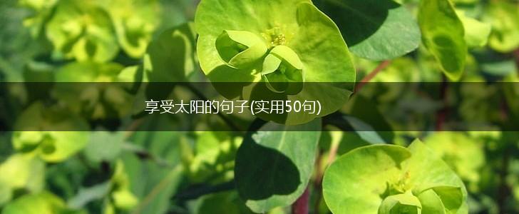 享受太阳的句子(实用50句),第1张