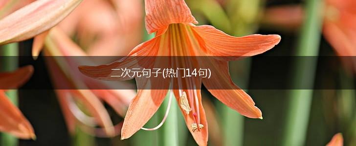 二次元句子(热门14句),第1张