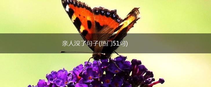 亲人没了句子(热门51句),第1张