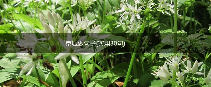 京城做句子(实用30句),第1张