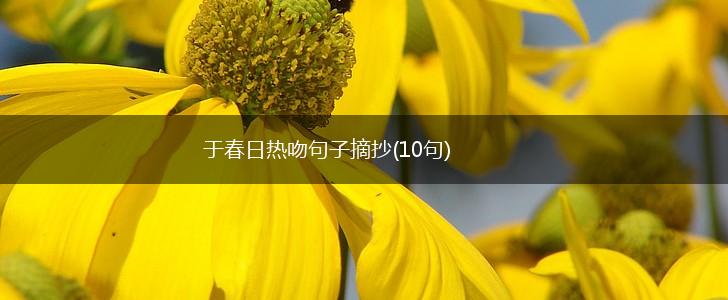 于春日热吻句子摘抄(10句),第1张