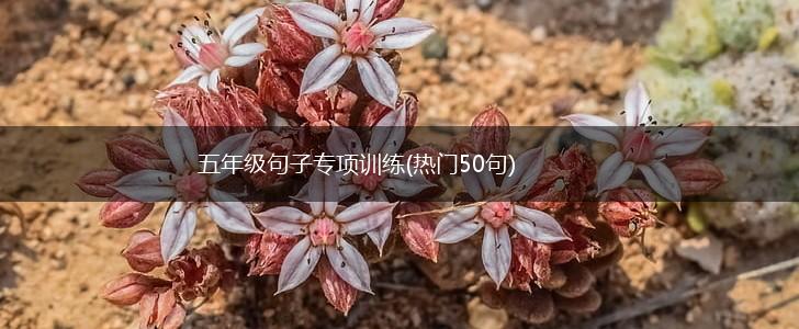 五年级句子专项训练(热门50句),第1张