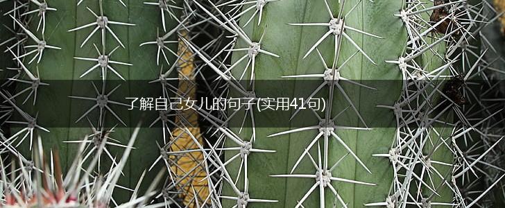 了解自己女儿的句子(实用41句),第1张