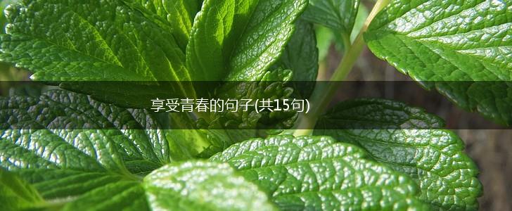 享受青春的句子(共15句),第1张