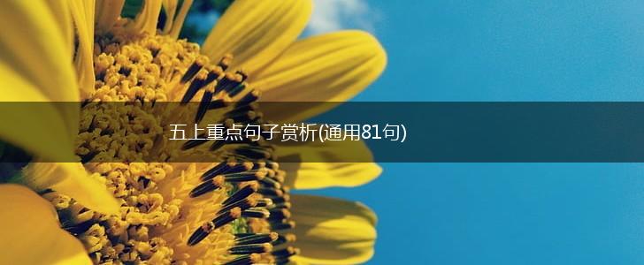 五上重点句子赏析(通用81句),第1张