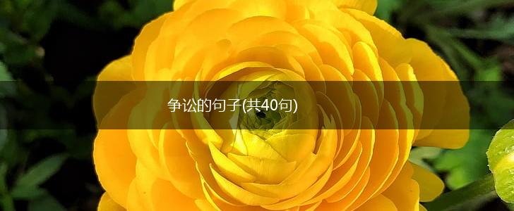 争讼的句子(共40句),第1张