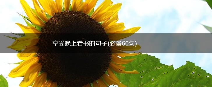 享受晚上看书的句子(必备60句),第1张