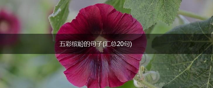 五彩缤纷的句子(汇总20句),第1张