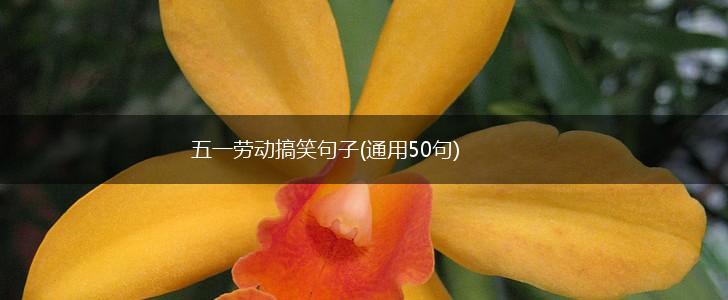 五一劳动搞笑句子(通用50句),第1张