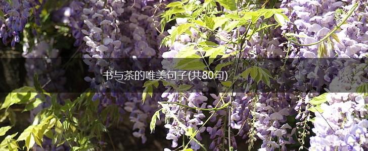 书与茶的唯美句子(共80句),第1张