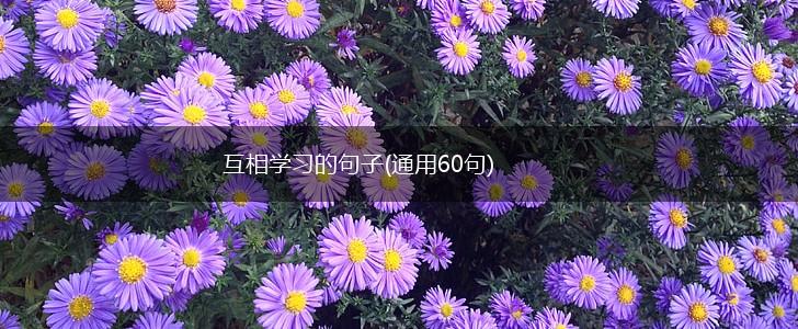 互相学习的句子(通用60句),第1张