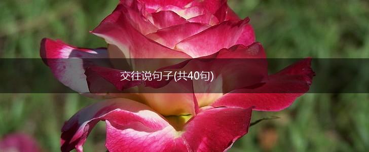 交往说句子(共40句),第1张