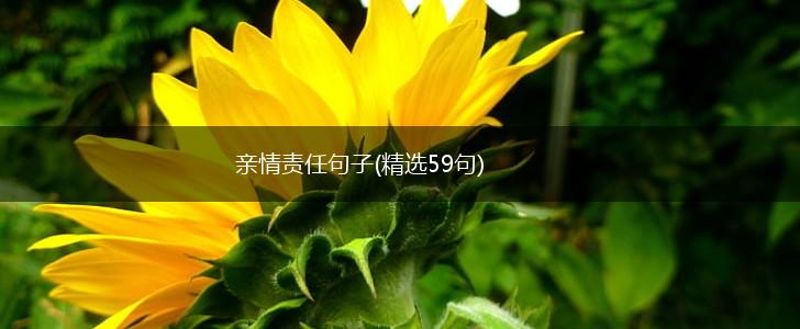 亲情责任句子(精选59句),第1张